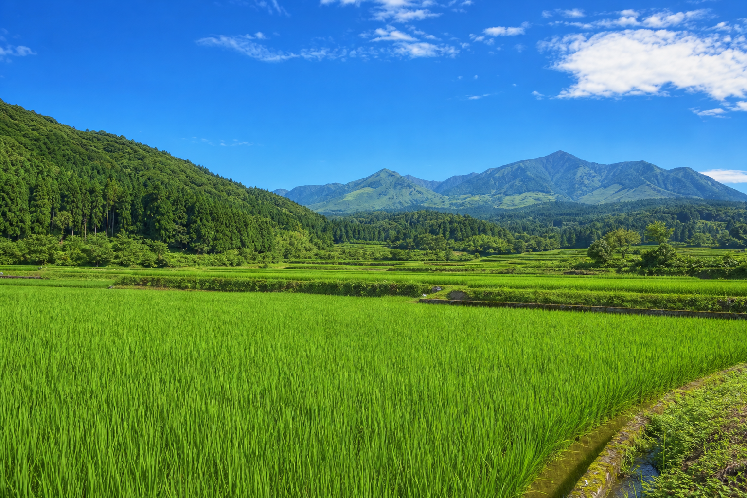 九州の田園と緑の風景